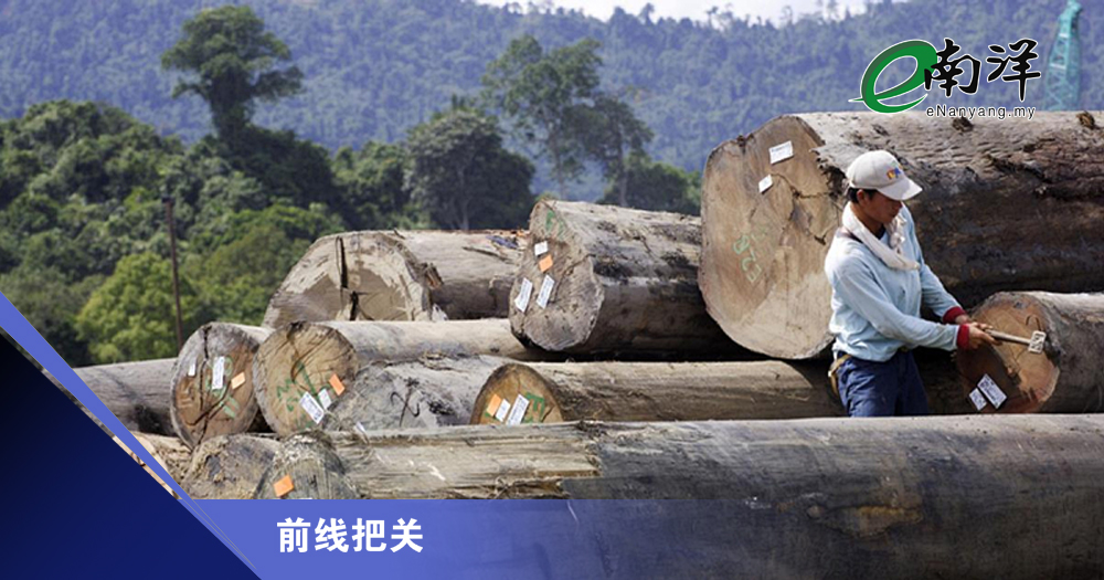 隐藏的电锯 金融业不应资助伐木毁林/前线把关